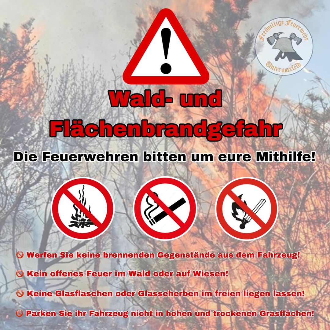 Wald und Flächenbrand